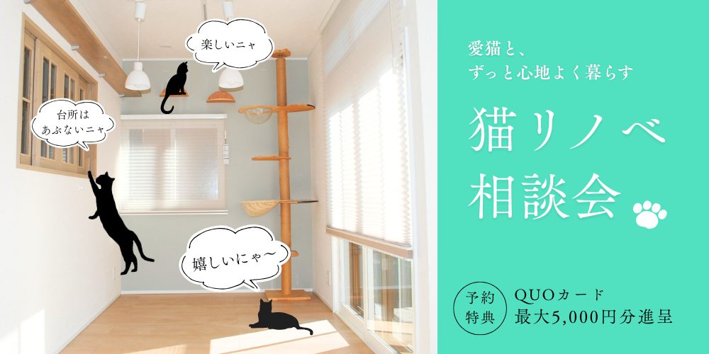 猫のためのリノベーション相談会【朝霞ショールーム】
