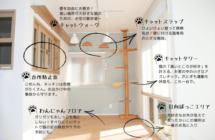 猫のためのリノベーション/リフォームのポイント