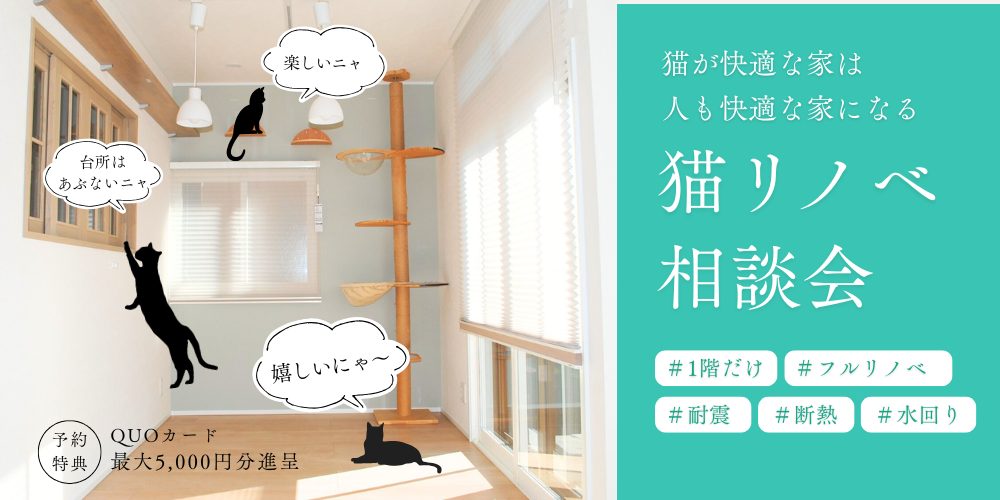 猫のためのリノベーション相談会【朝霞ショールーム】